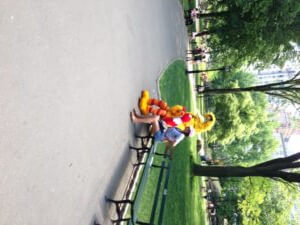 Bibo in Central Park