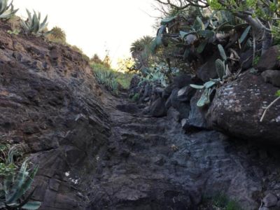 Einstieg zur Wanderung in die Masca Schlucht Einstieg zur Wanderung in die Masca Schlucht