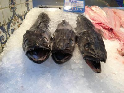 Grimmige Kollegen in der Fischhalle Santa Cruz Grimmige Kollegen in der Fischhalle Santa Cruz