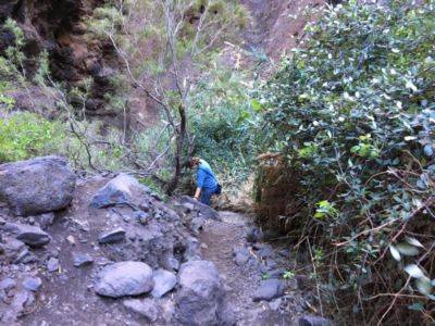 Trittsicher sollte man bei der Wanderung durch die Masca-Schlucht auf jeden Fall sein Trittsicher sollte man bei der Wanderung durch die Masca-Schlucht auf jeden Fall sein