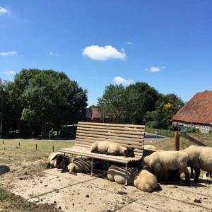 Besetzte Parkbank in Absen - mit dem Pedelec auf dem Weser-Radweg Besetzte Parkbank in Absen - mit dem Pedelec auf dem Weser-Radweg