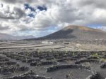 Weinreben und Vulkankegel auf Lanzarote Weinreben und Vulkankegel auf Lanzarote